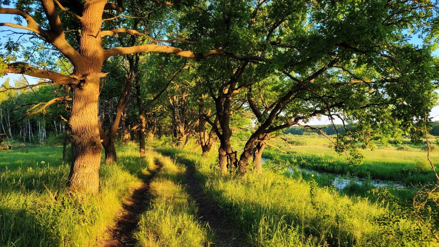 , Сергей Шляга