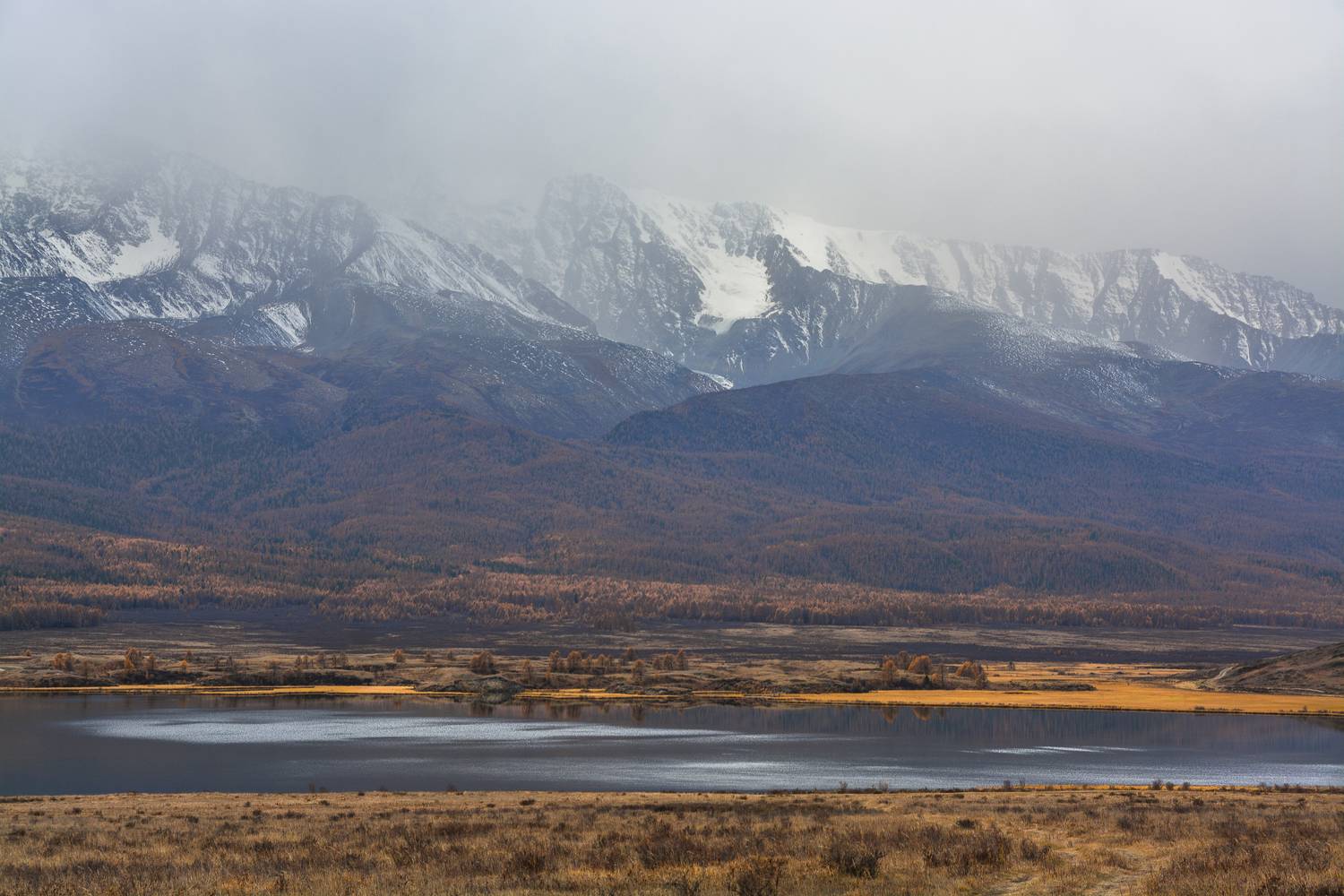 россия, горный алтай,осень,пасмурно, Андрей Поляков