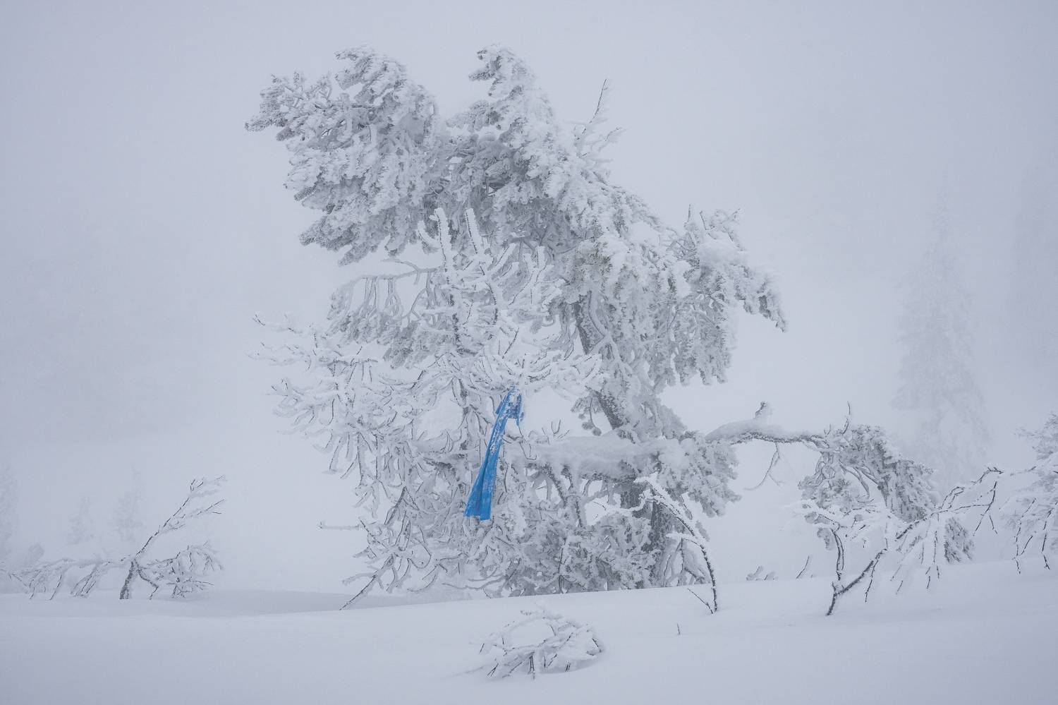 кандалакша, волосяная сопка, зима, снег., Чекалев Алексей