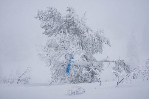 Забытый шарфик