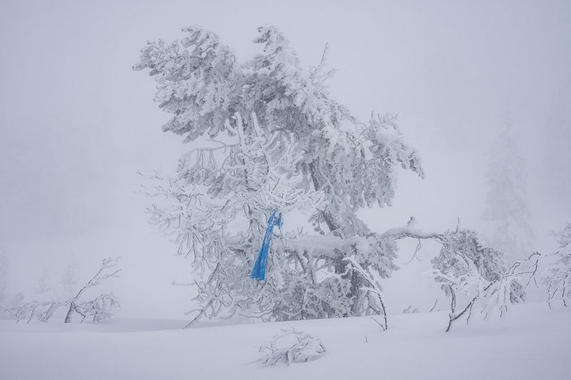 кандалакша, волосяная сопка, зима, снег. Забытый шарфик фото превью