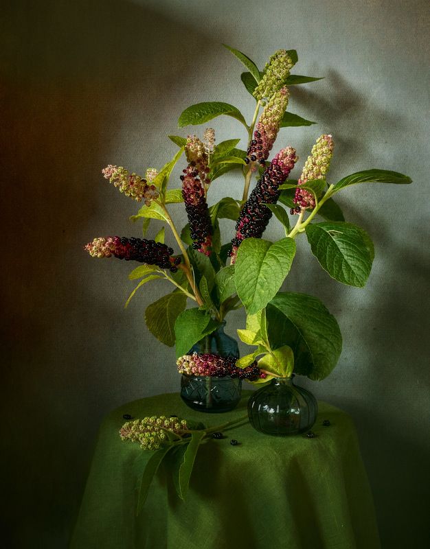 Фитолакка фото превью