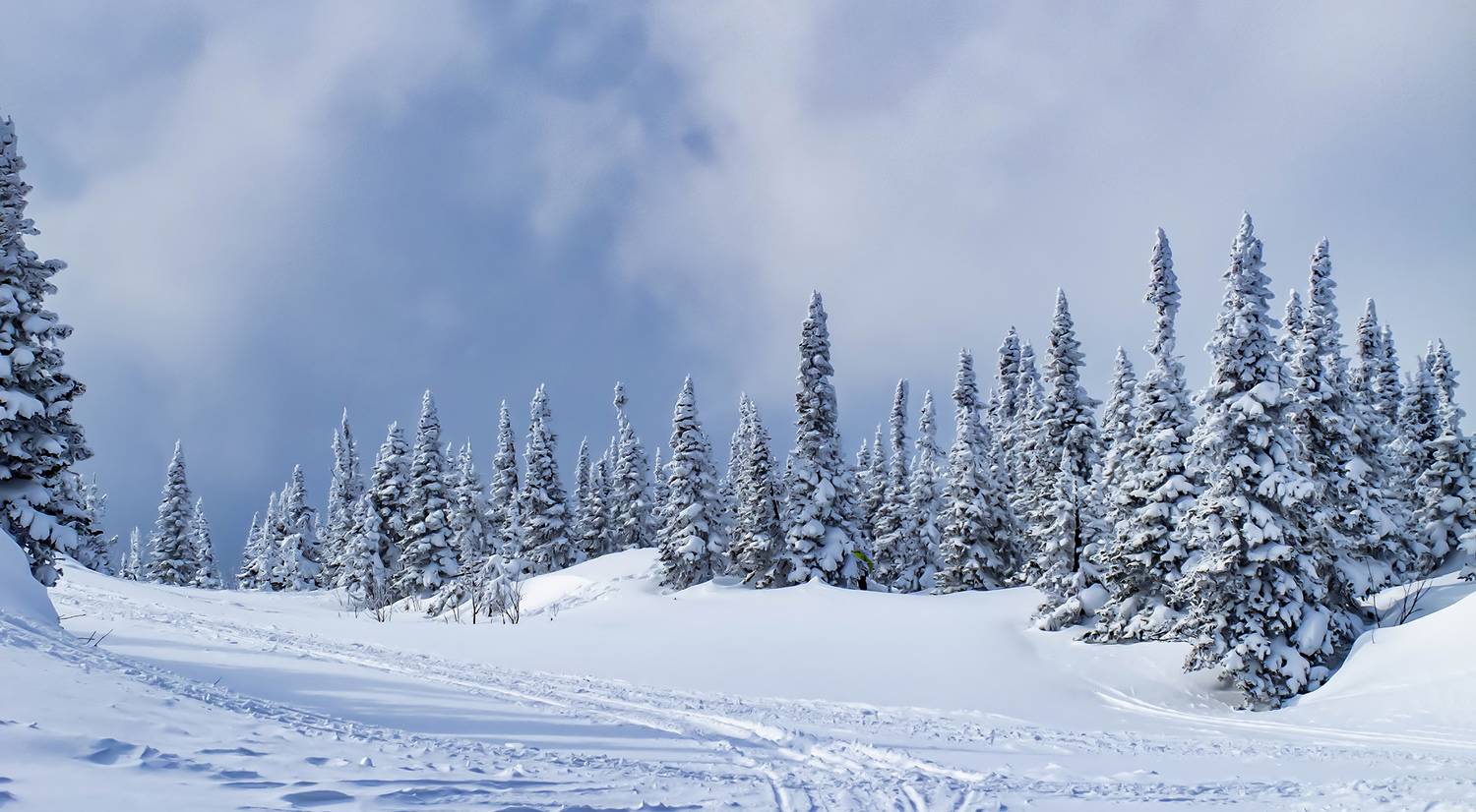 , Волынский Виктор