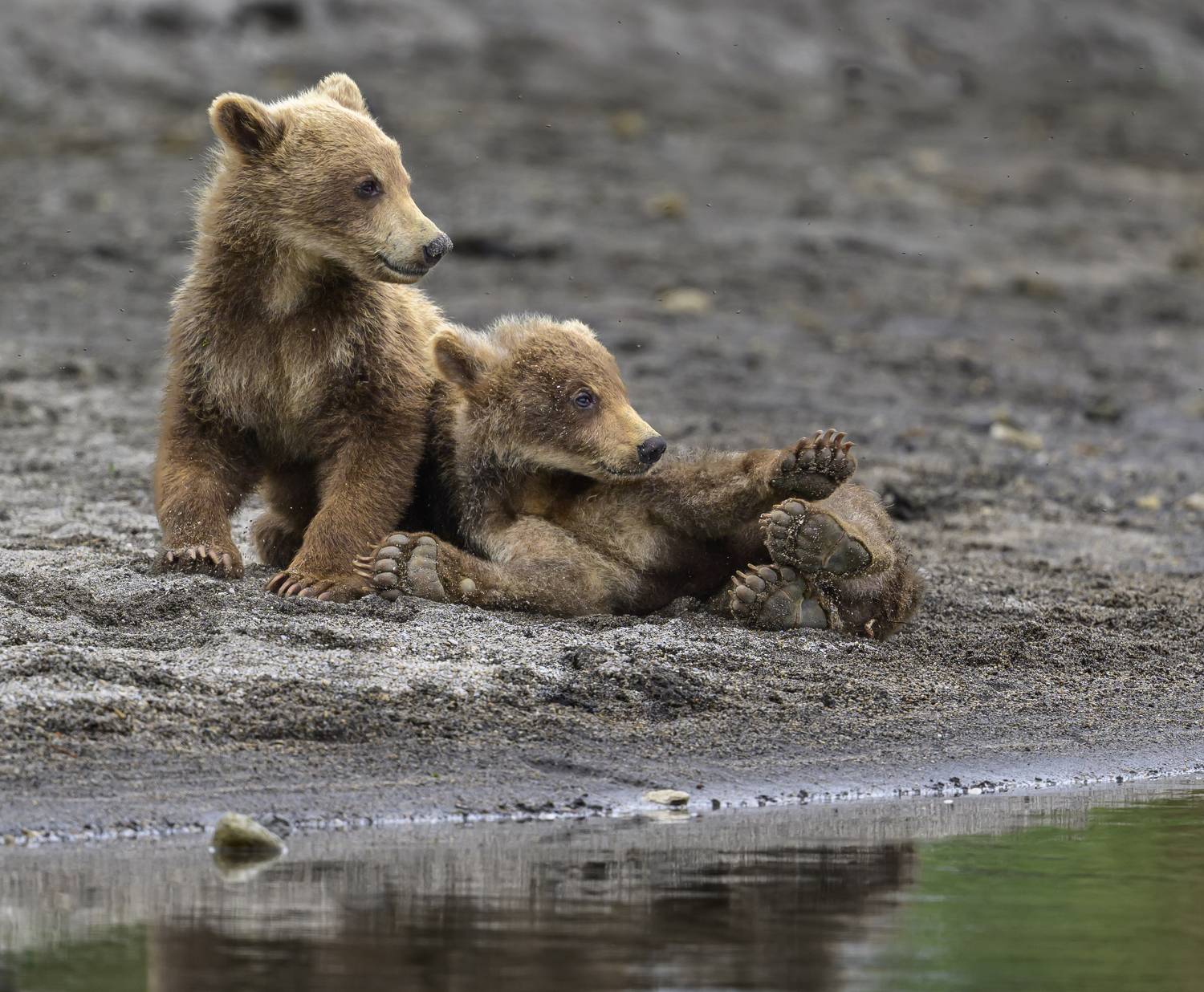 , Пупонин Сергей