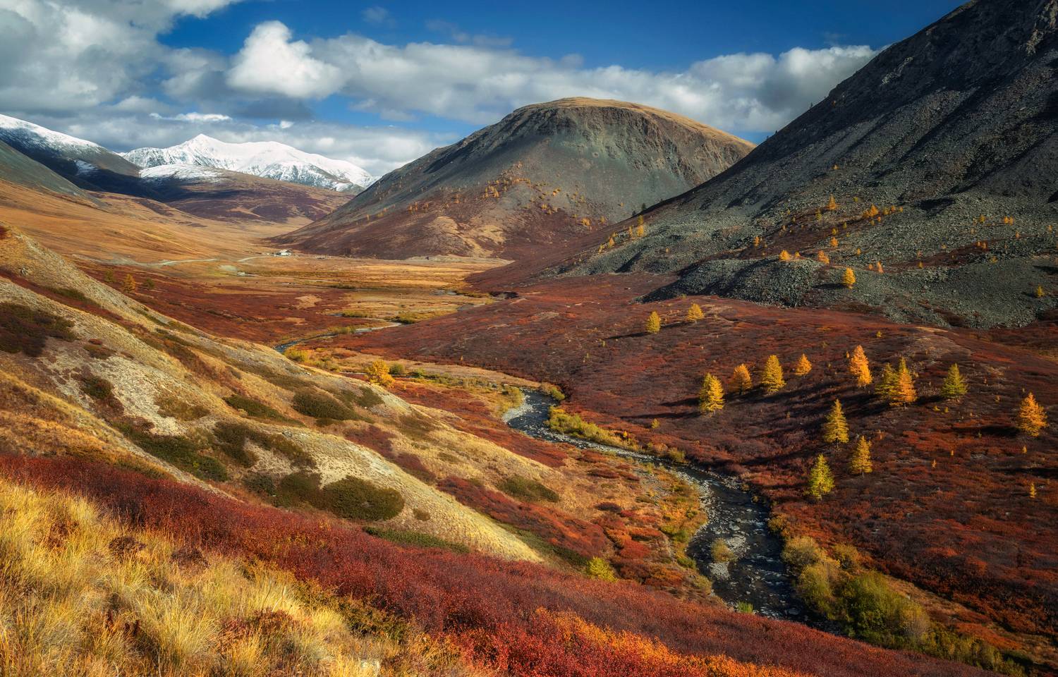 горный алтай,сентябрь2023,река джазатор,долина,лиственицы,карликовая берёзка, Lora Pavlova