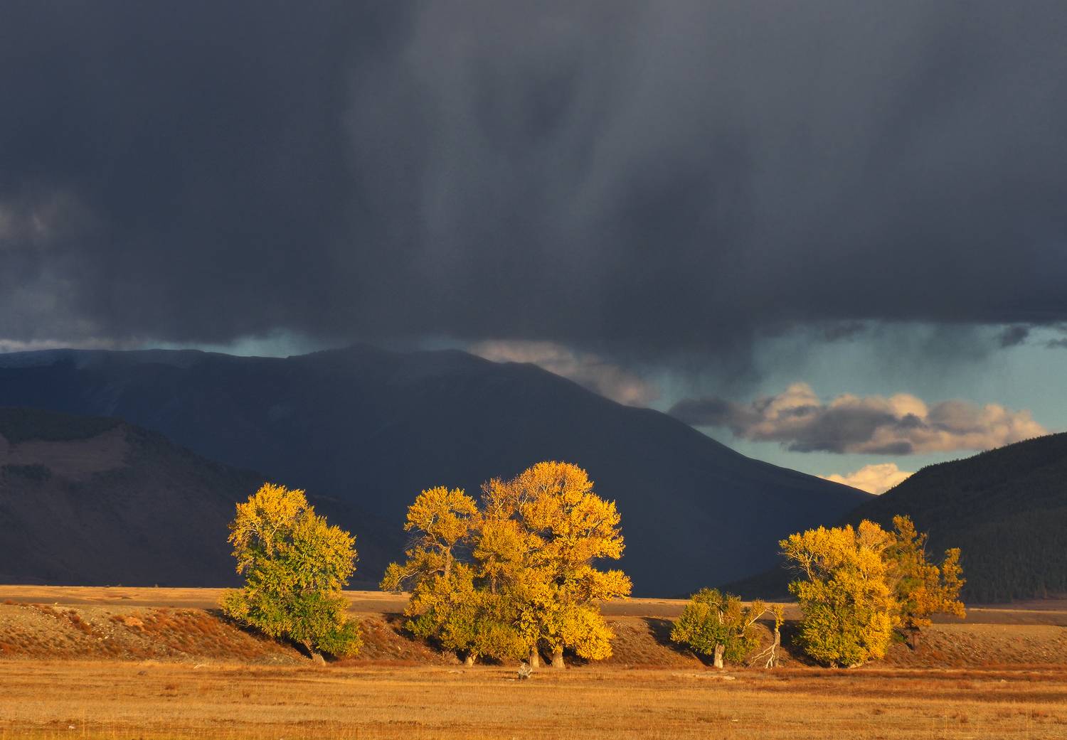 Алтай, Курай, осень, Горный Алтай, Галина Хвостенко
