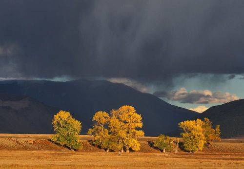 Осенние контрасты