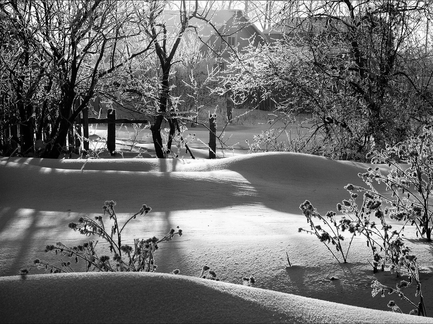 зима, сугробы, снег, свет, тень, чб, Гордейко Анна