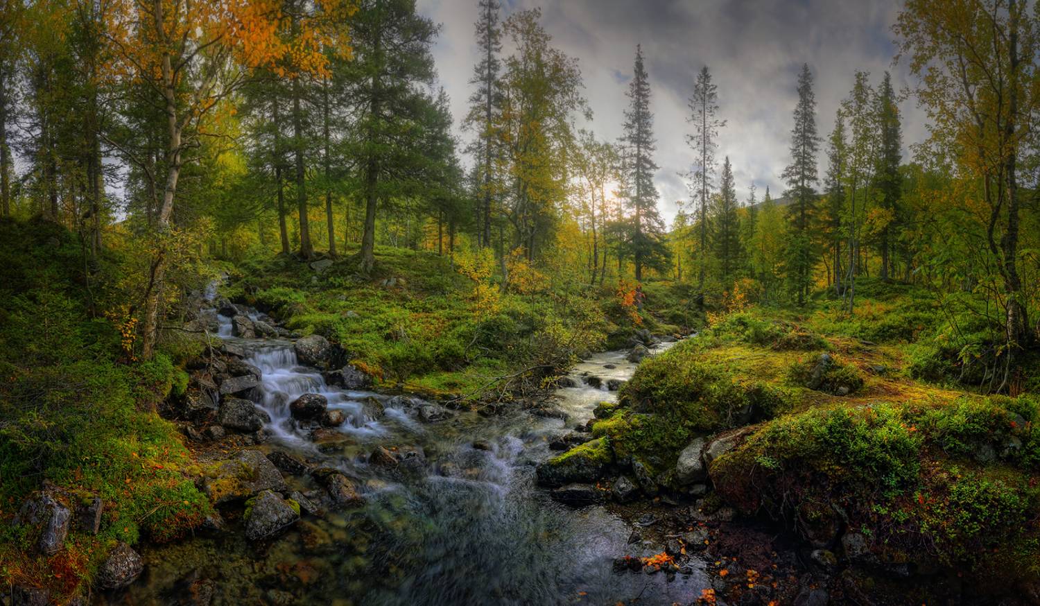 Кольский Заполярье Хибины горя Мурманская область лес ручей осень, Александр Бархатов