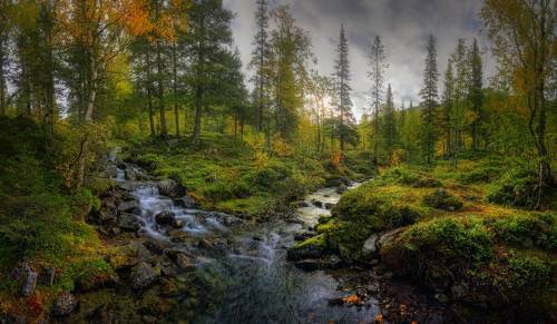 На стыке двух ручьев