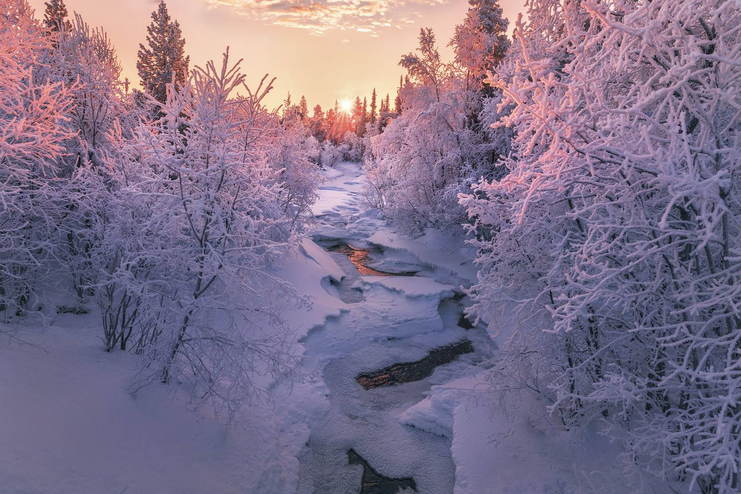 Фототуры с Владимиром Рябковым, #topnature #russpasibo #magic_shots #lovelyRussia #sunset_vision #exclusive_sky  #exclusive_shots #loves_russia2 #photoarena_nature #nature_sultans #nature_perfection #rsa_sky #rsa_sunset #photorussia #rsa_naturepics #sunse, Владимир Рябков