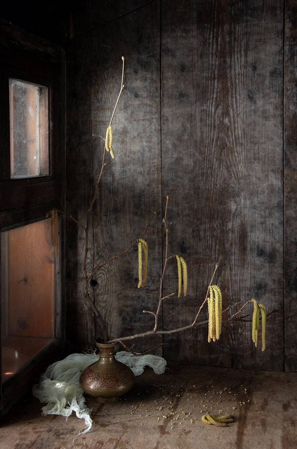 весна, тепло, аромат, запах весны, веточка, натюрморт, Анна Иванова