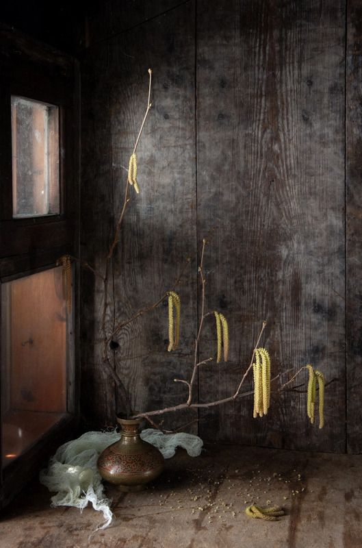 весна, тепло, аромат, запах весны, веточка, натюрморт Запахло весной фото превью