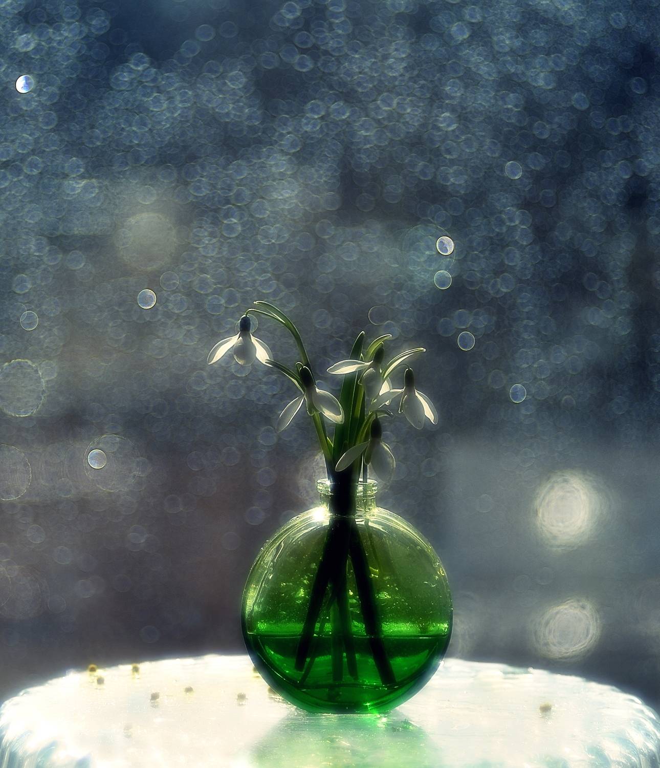 натюрморт,весна,цветы,подснежник,боке, Наталия К