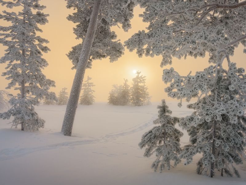 Тропинка к солнцу фото превью