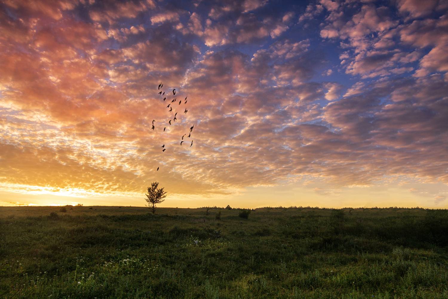, Мариана Добрева
