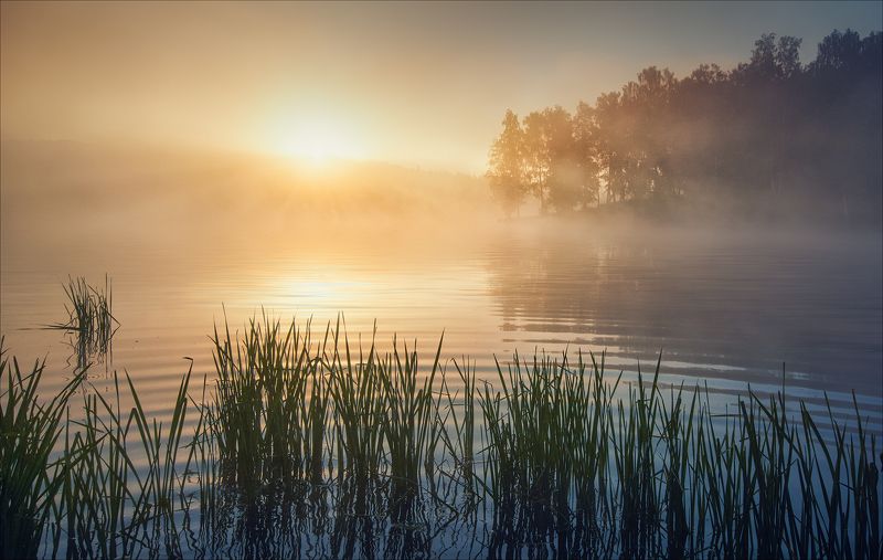 Немного лета фото превью