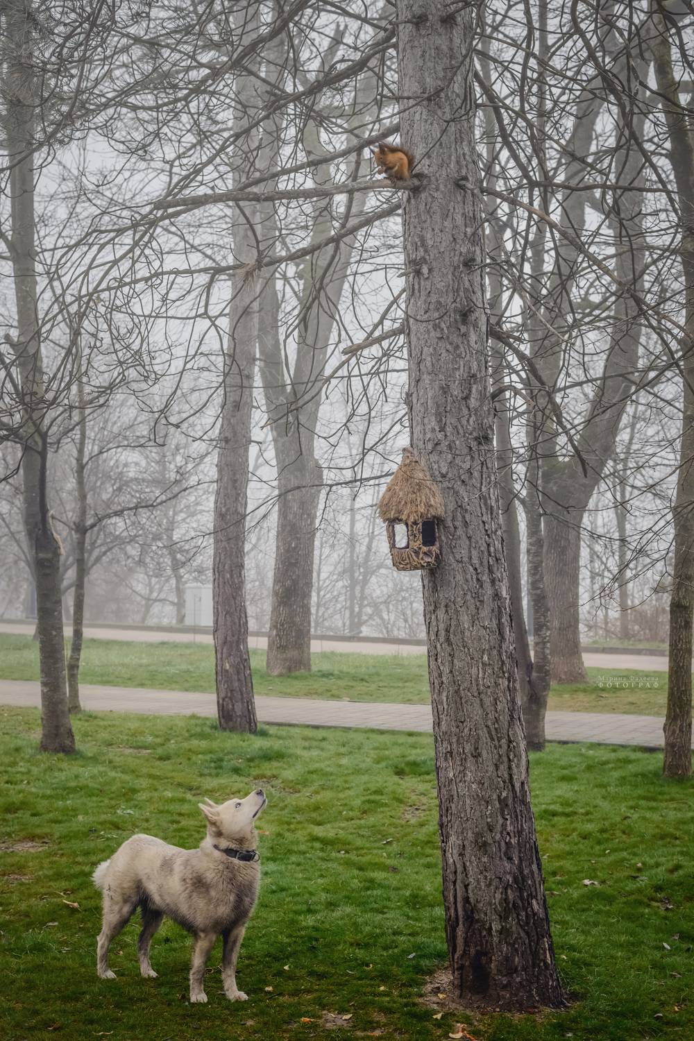 туман, город, пейзаж, жанр, парк,,  Мариночка