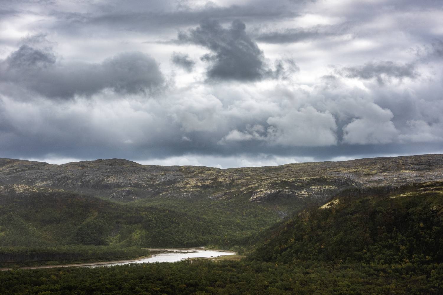 , Владимир Штыриков