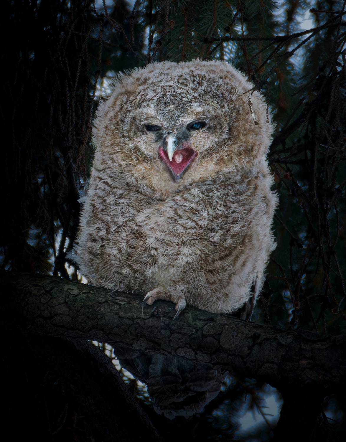 , Фото Александр