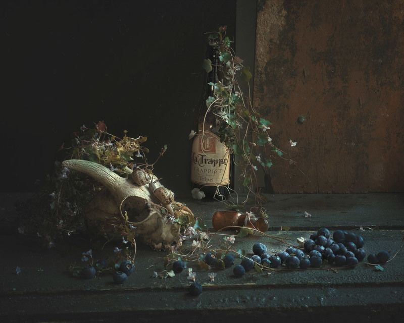 Vanitas фото превью