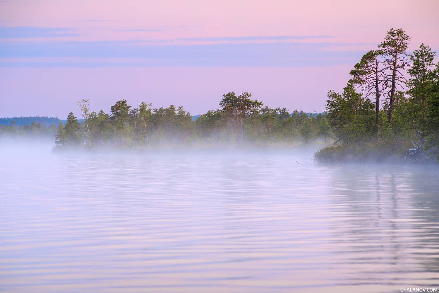 пейзаж, рассвет, сосны, туман, болото, север, landscape, sunrise, swamp, north, pines, fog, Иван Чаланов
