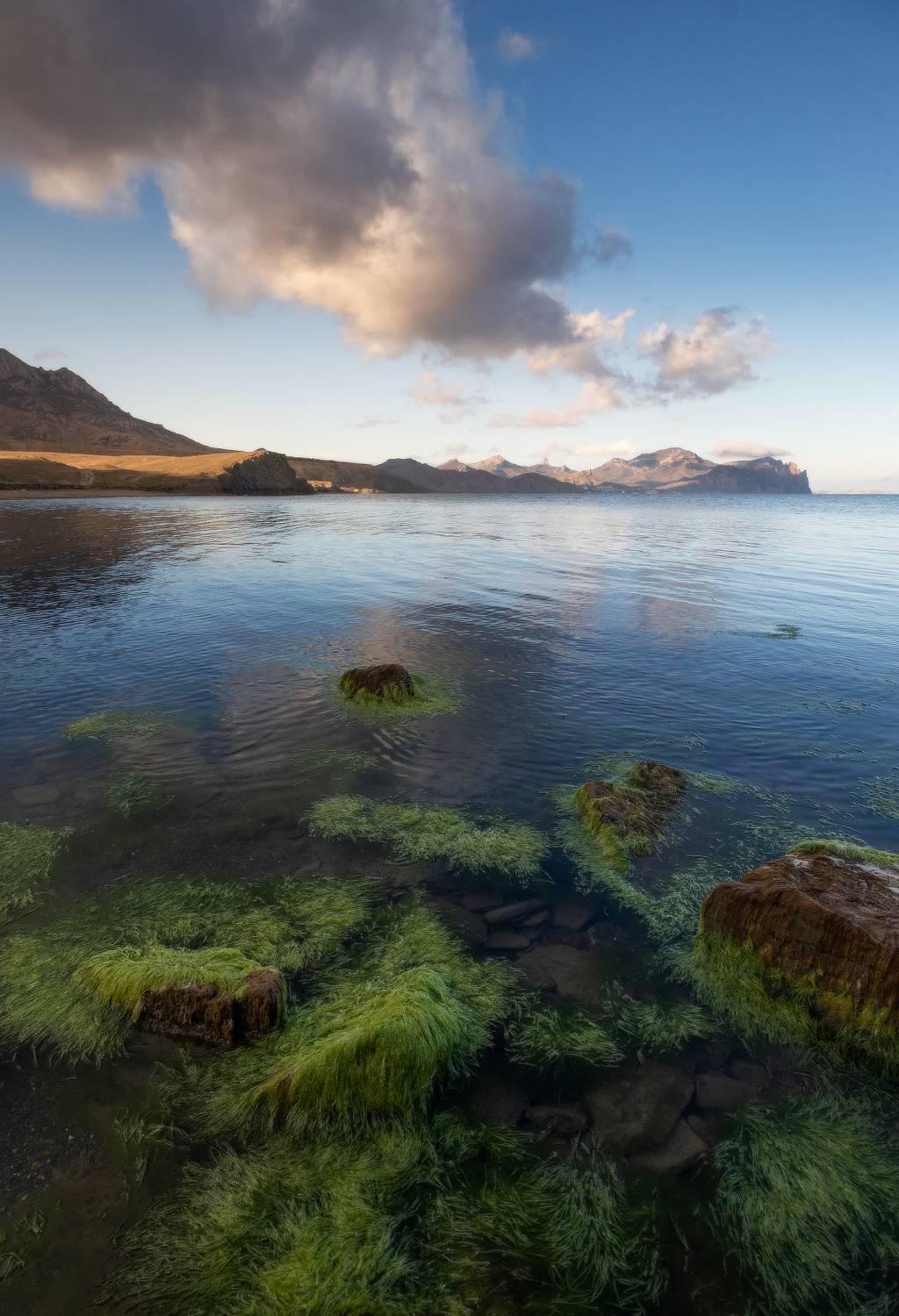 , Михаил Гапонов