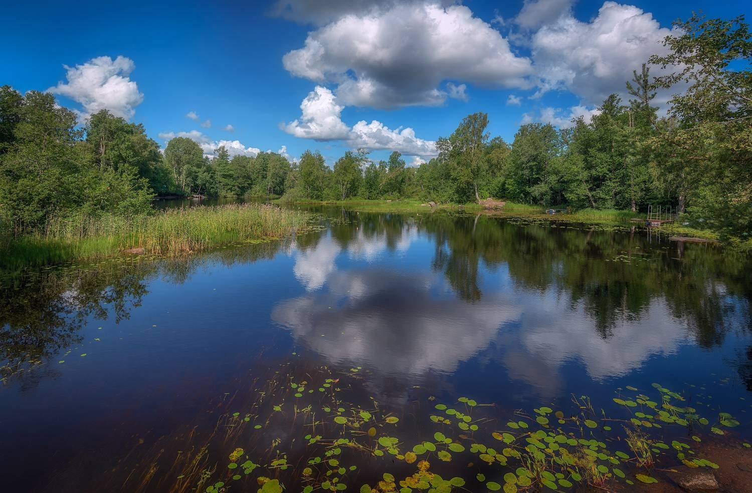 Река, вуокса, лето, июль, Сергей Аникин