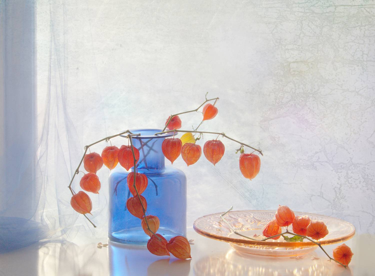 , Хохлова Наталья