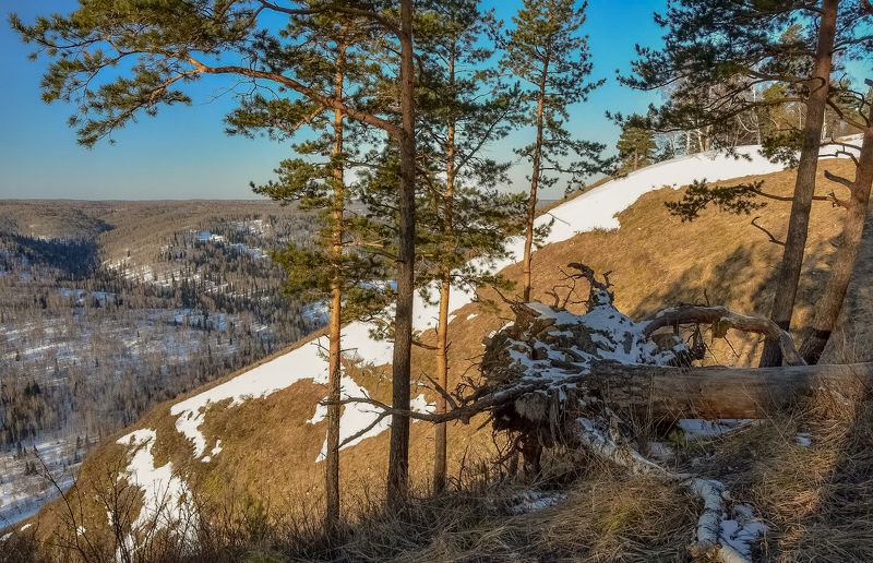В начале весны фото превью