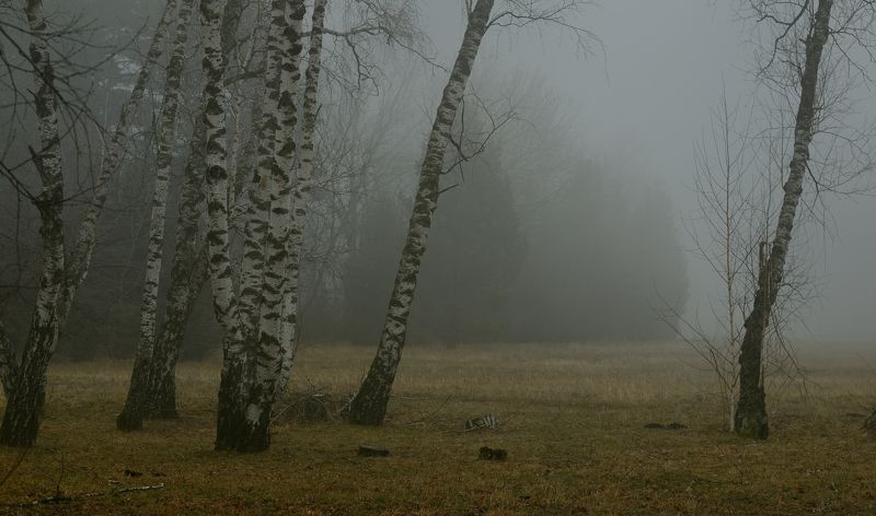 Туманное утро ранней весной фото превью