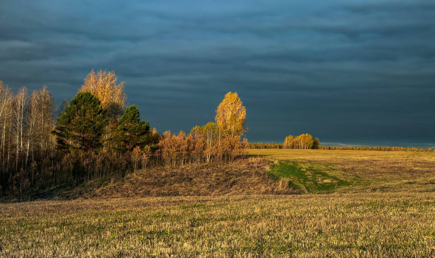 , Алексей Хахлов