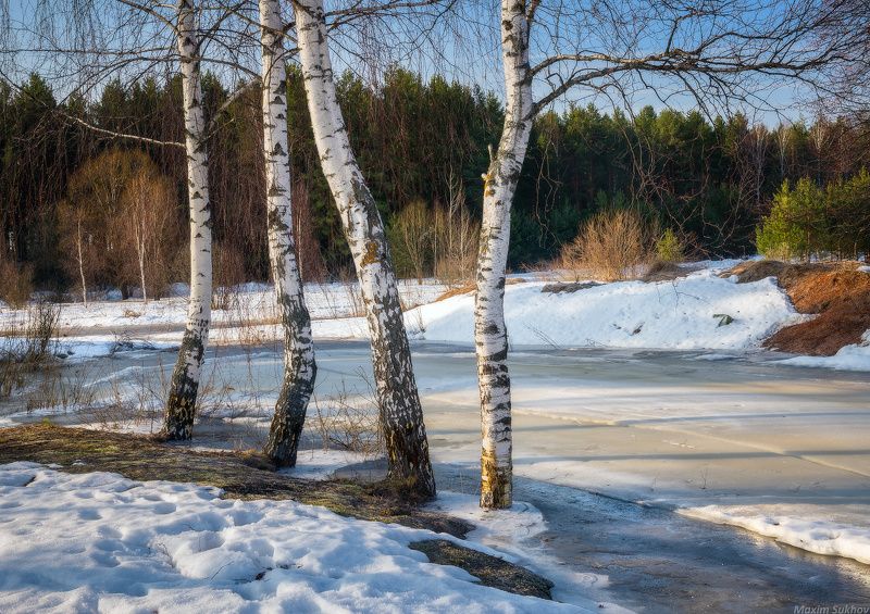 весна, березы, лед, снег, оттепель Конец марта фото превью