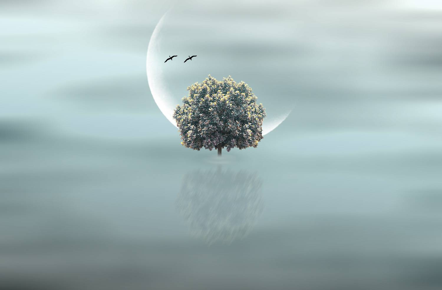 , Alex Yungan Harahap