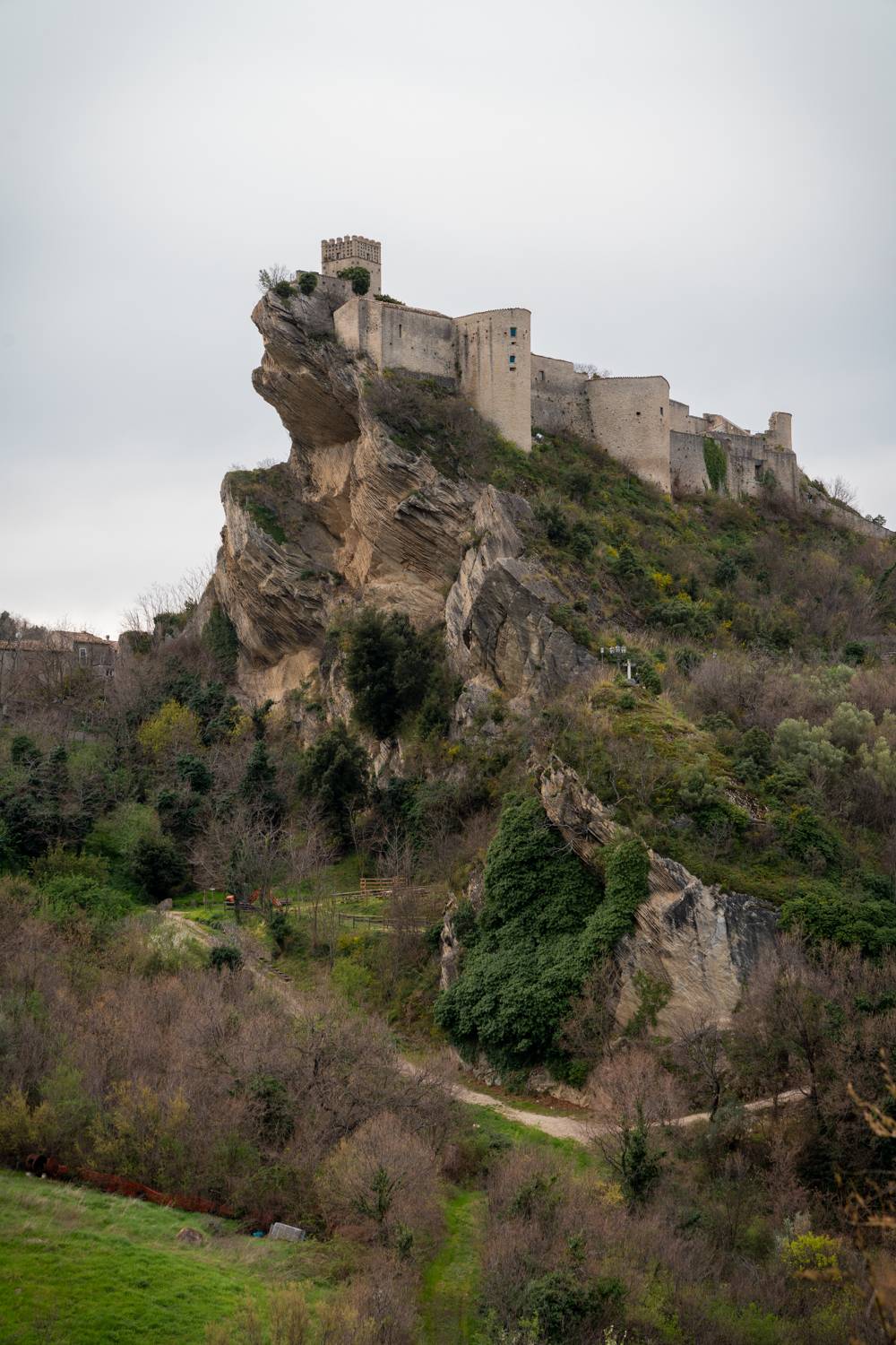 , Дария Максимова