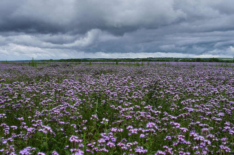 * фото превью