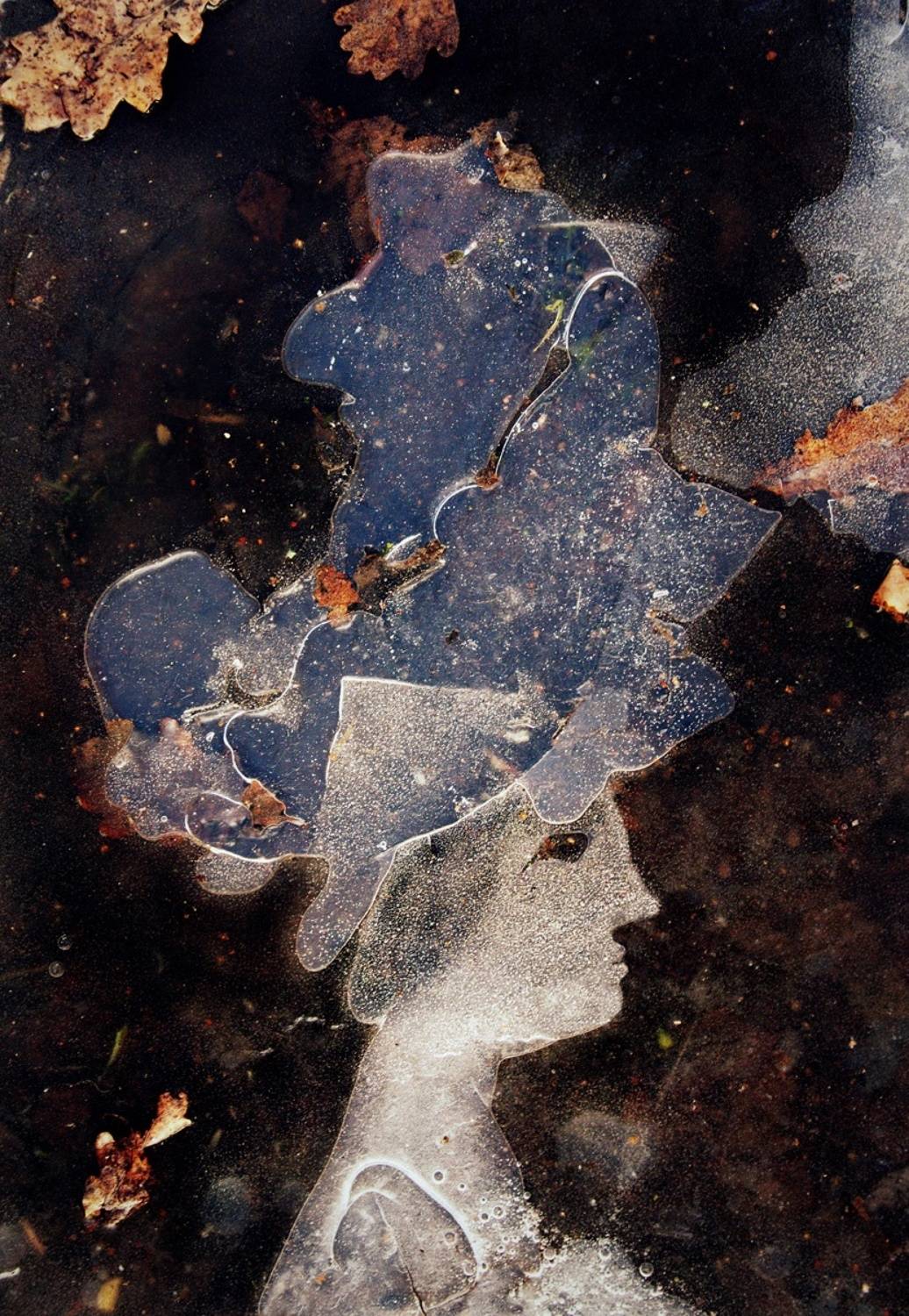 pareidolia, Илья Веулоп