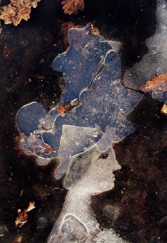 pareidolia Женщина в шляпе. (замёрзшая лужа) фото превью