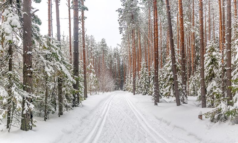 Март, весенний месяц. фото превью