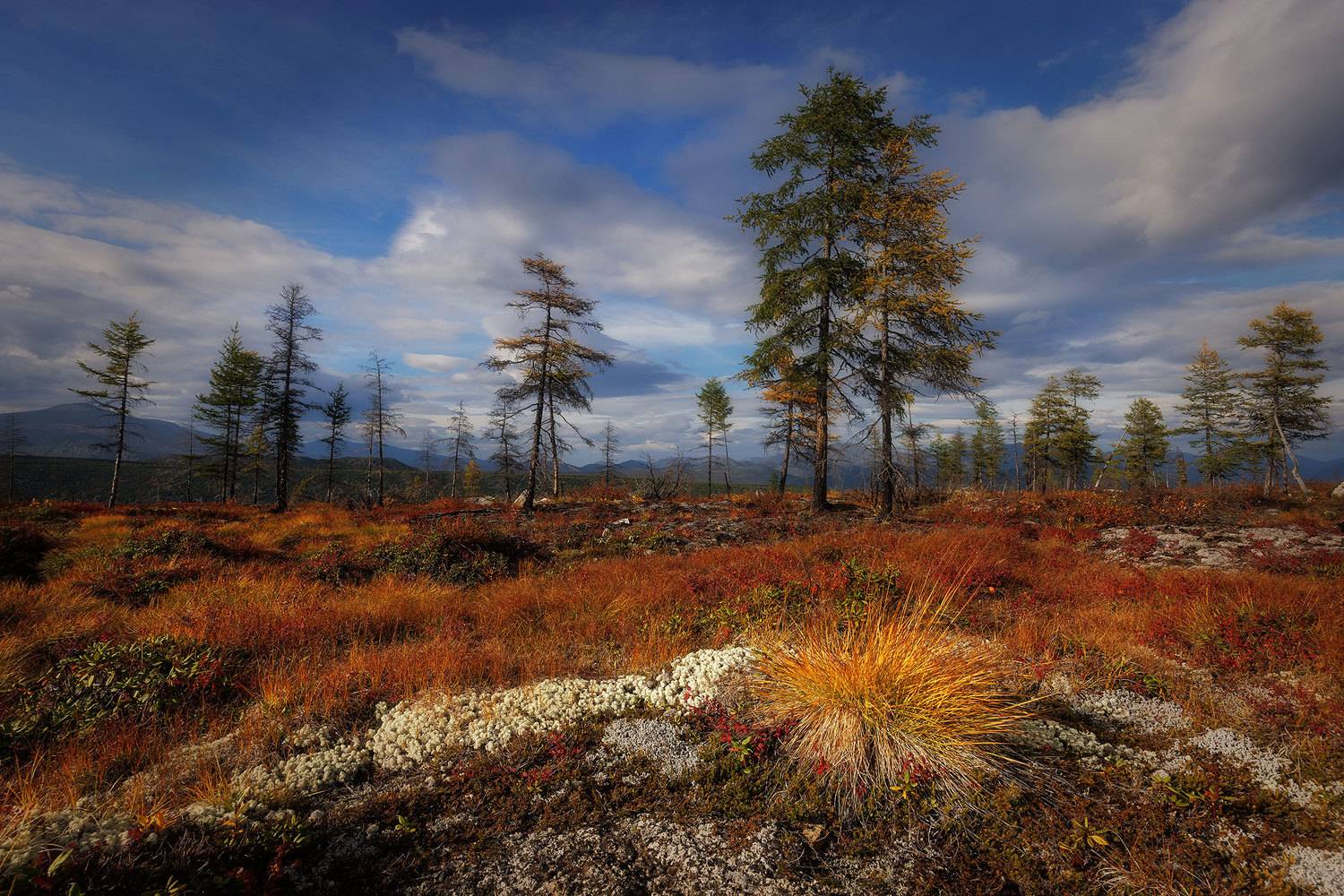 , Морозов Сергей