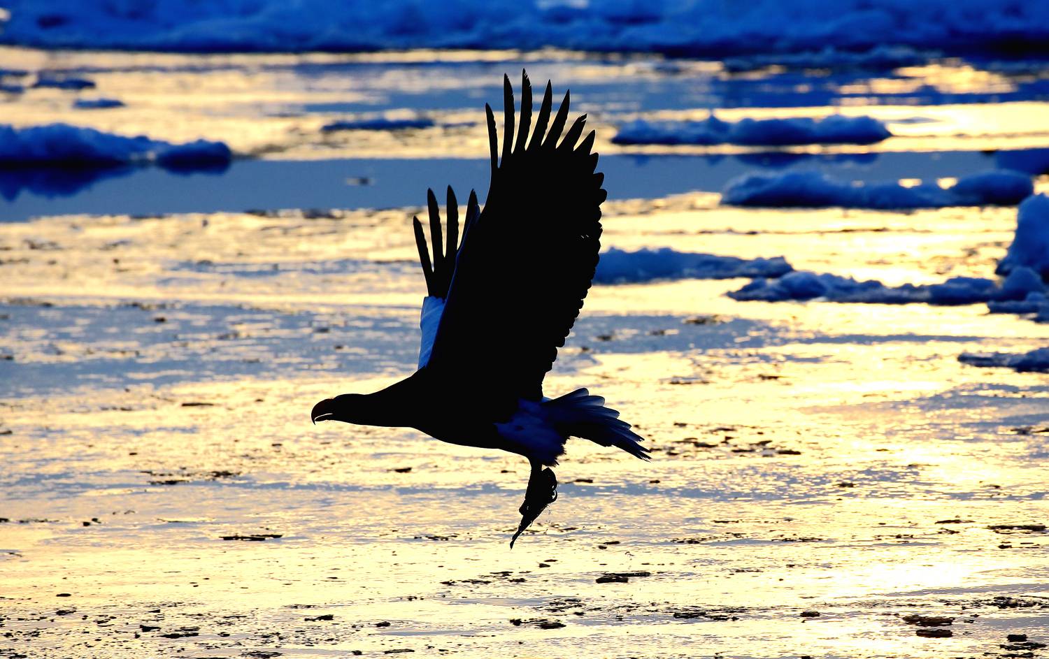 , Гудков Андрей