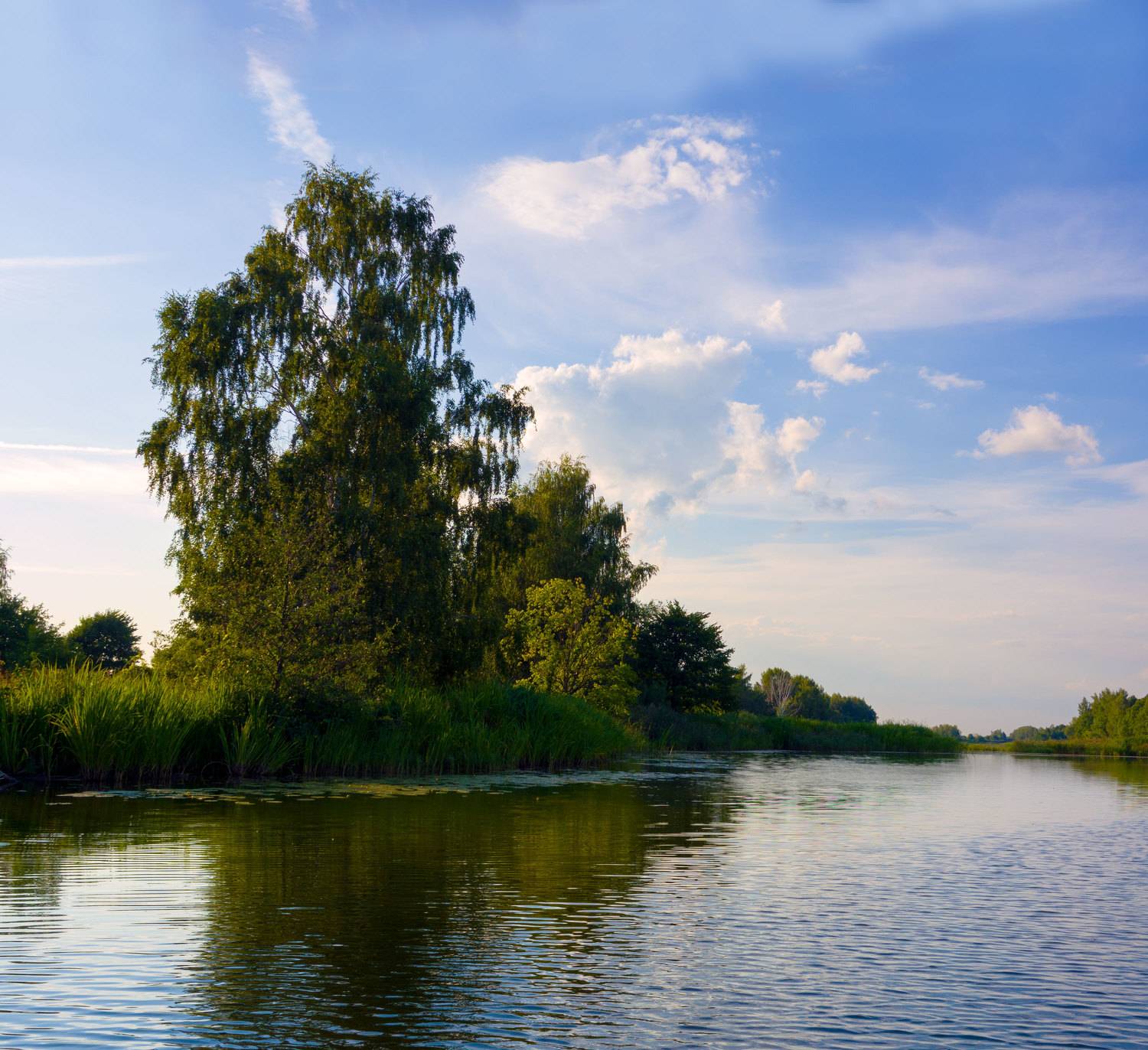 , Герман Корнилов