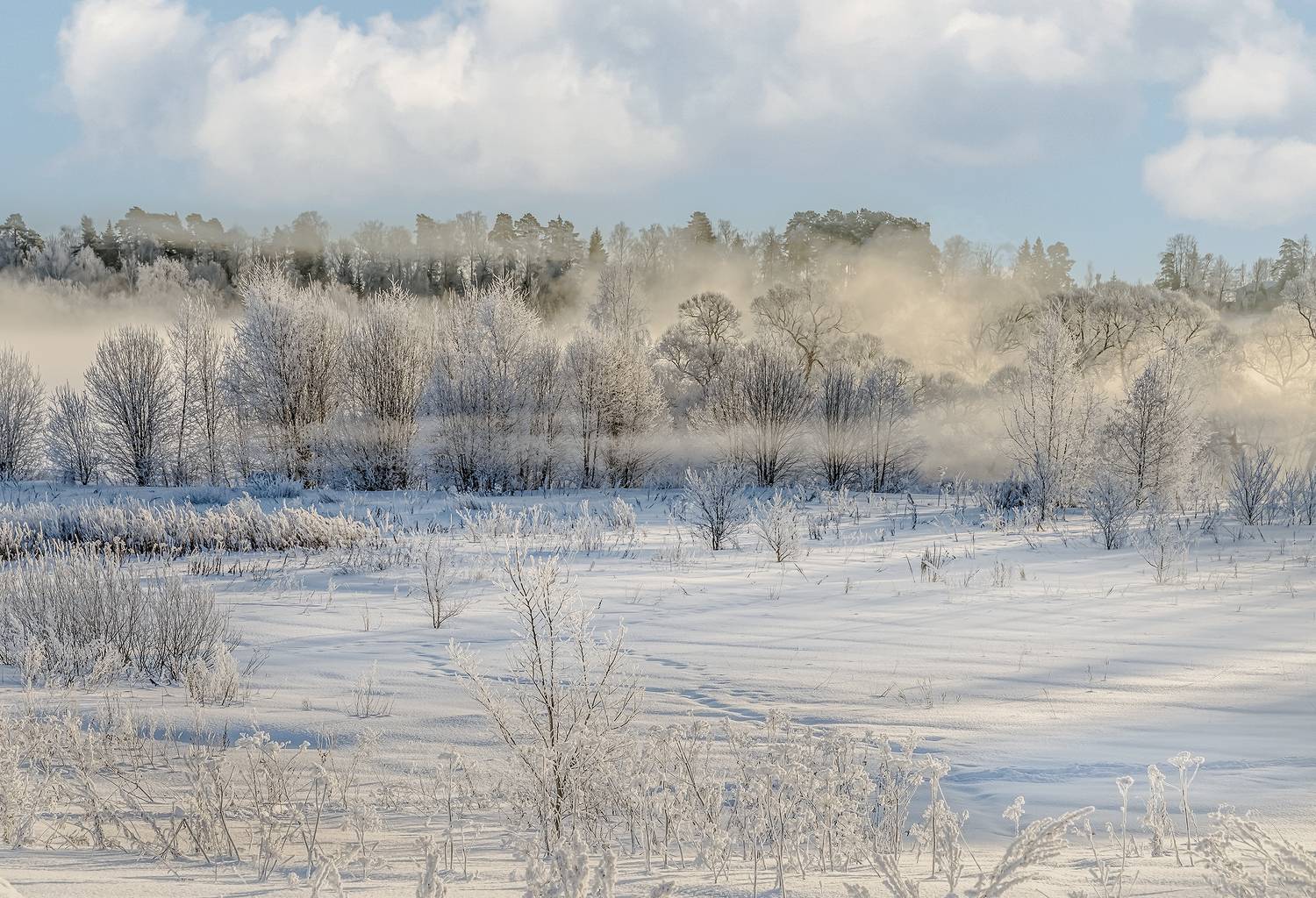 новый иерусалим, Вячеслав Бирюков