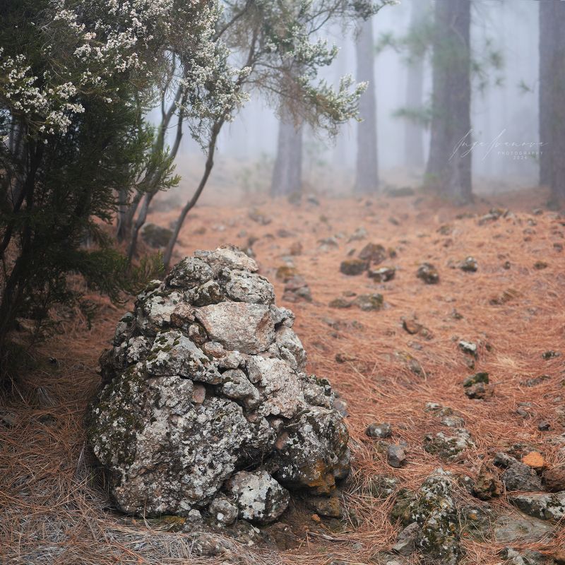 Teide, Canary Islands Tenerife фото превью