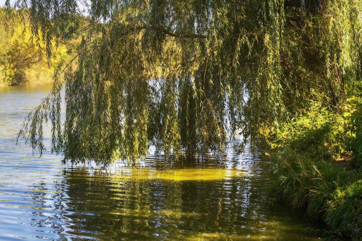 , Лысенко Сергей