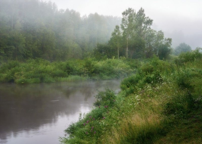 лето, утро, раннее, туман, река, речка, вода, берега, быстрица Тайны маленькой реки фото превью