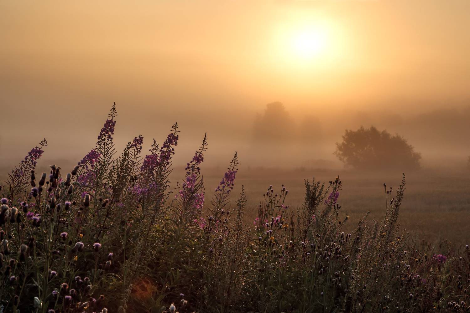 , Алексей Хахлов