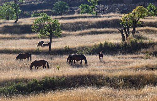 Дагестанские зарисовки