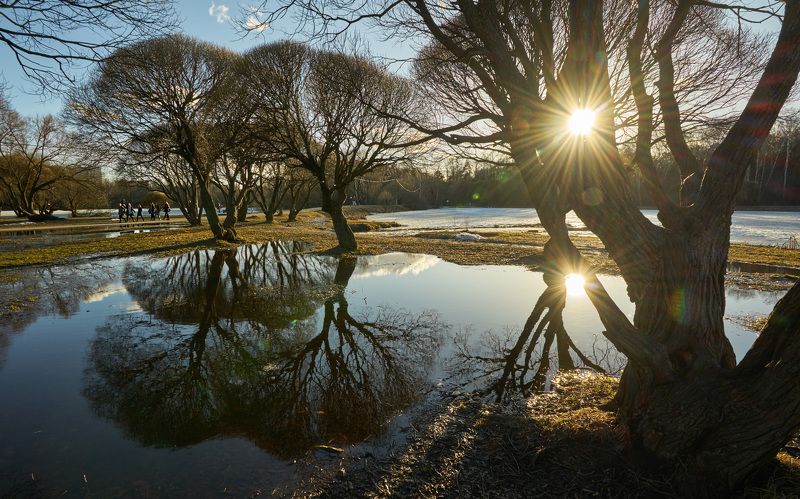 Мартовские зайчики фото превью