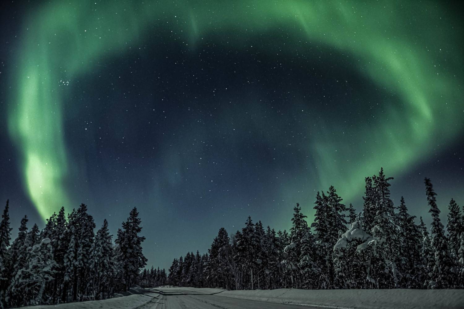 , Сергей Каверин